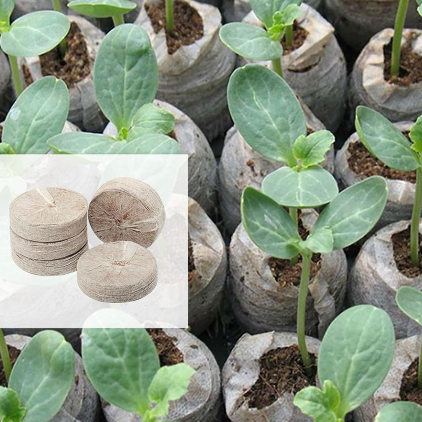 Peat Pellet Tray - Peat Pellets 100 Piece Potting Mix