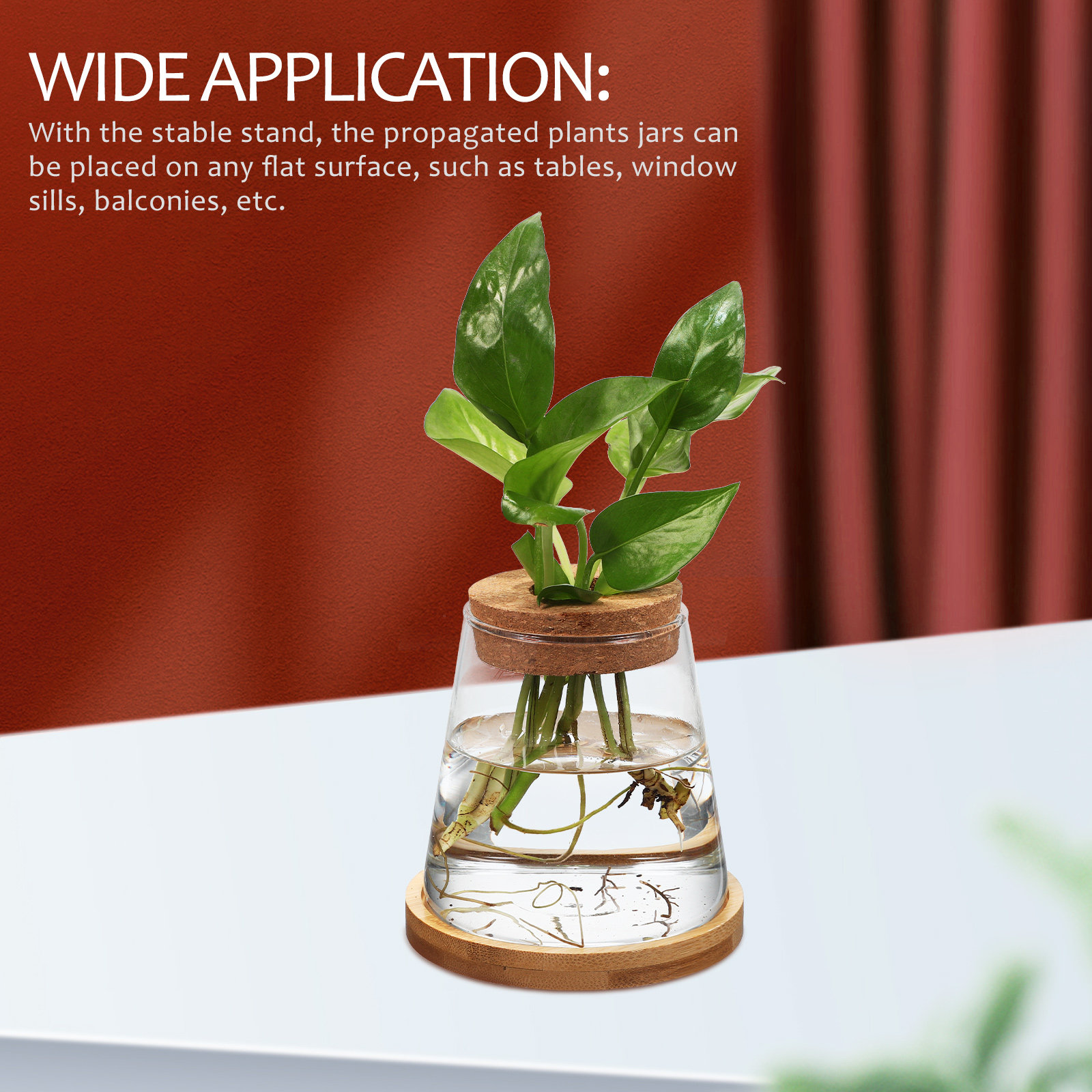 Propagation Station Vase - 2Pcs Hydroponic Plants Propagation Station Water