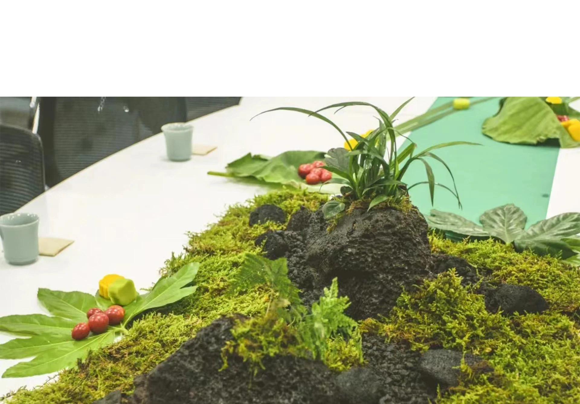 Fake Moss Artificial Moss for  - Sphagnum Moss Dry 리뷰 및 가격