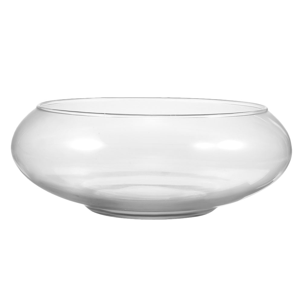 Wide Mouth Glass Vase Narcissu - Propagation Station Vase 리뷰 및 가격