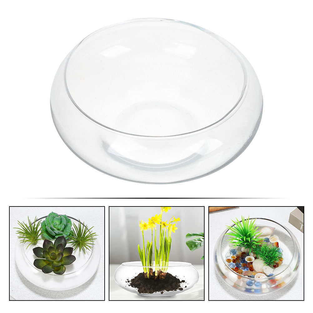 Wide Mouth Glass Vase Narcissu - Propagation Station Vase 리뷰 및 가격