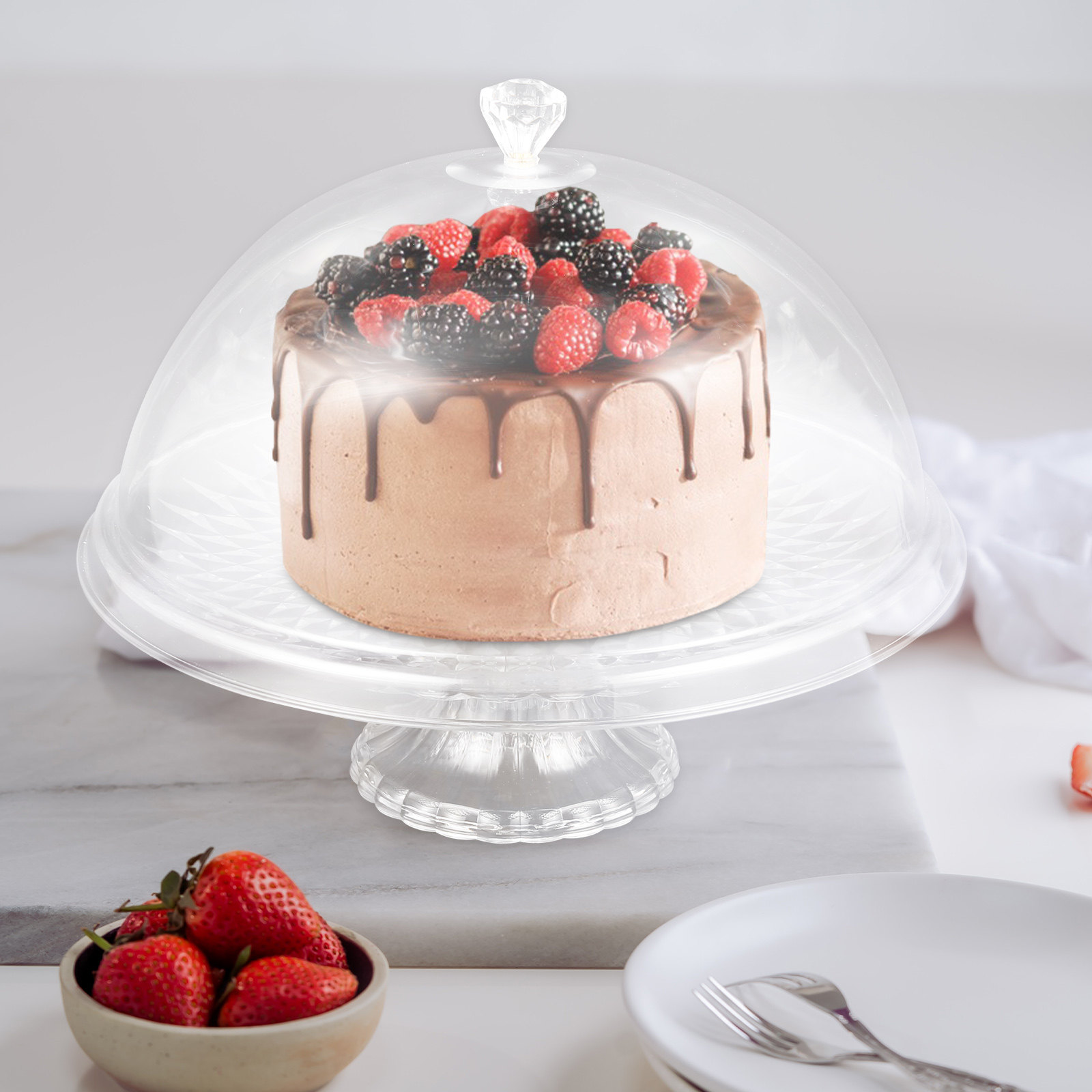 Clear Pet Cake Stand with Dome - Plastic Dome Clear 리뷰 및 가격