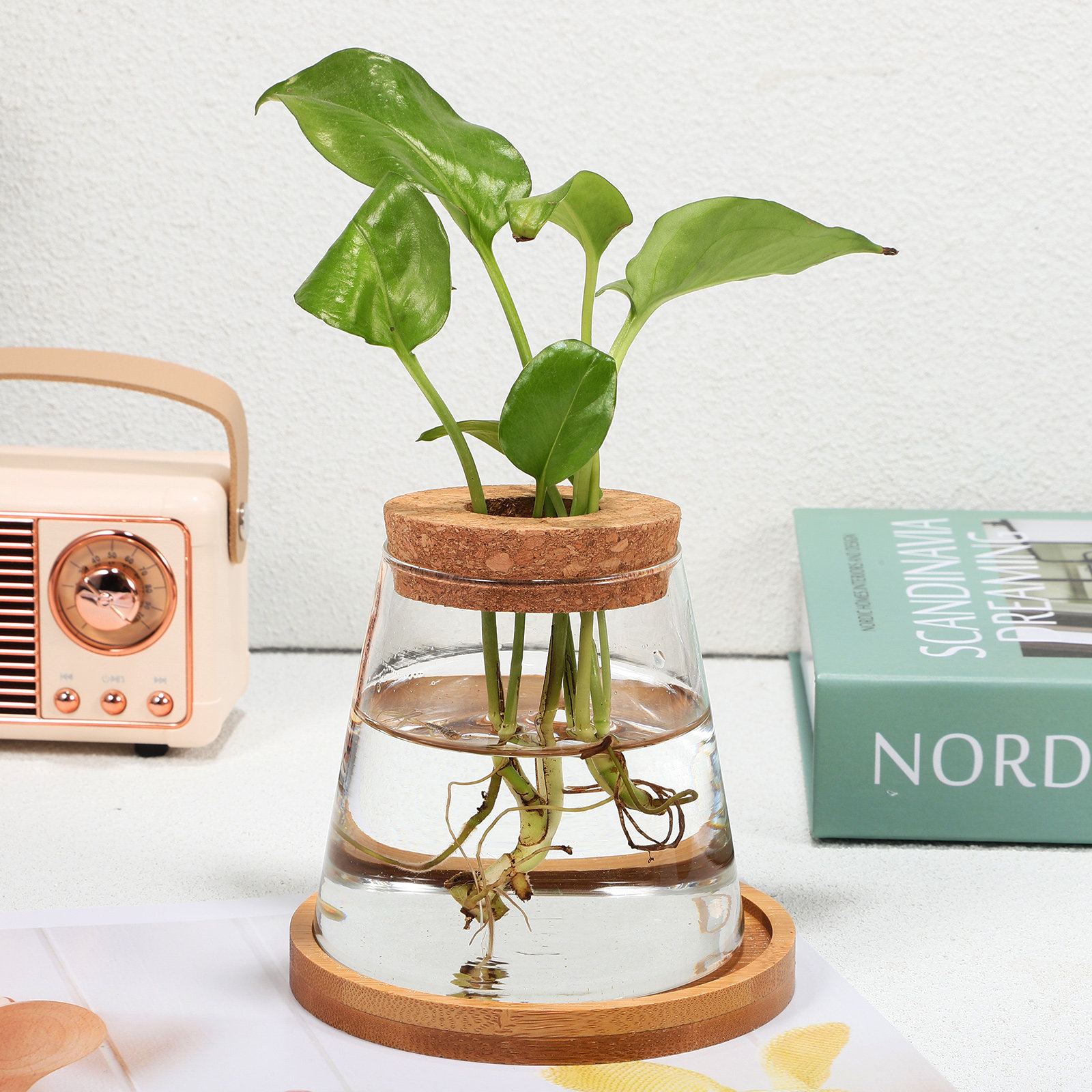2Pcs Water Planters Glass Prop - Propagation Station Vase 리뷰 및 가격