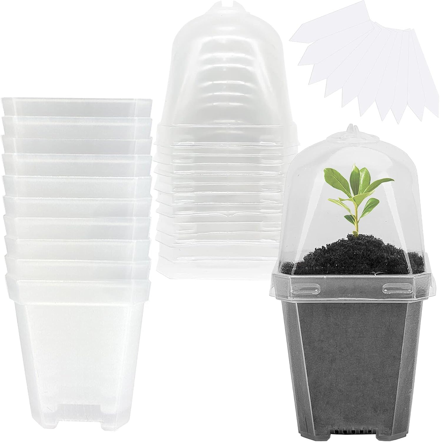 10 PCS Clear Plant Nursery Pot - Plastic Dome Clear 리뷰 및 가격