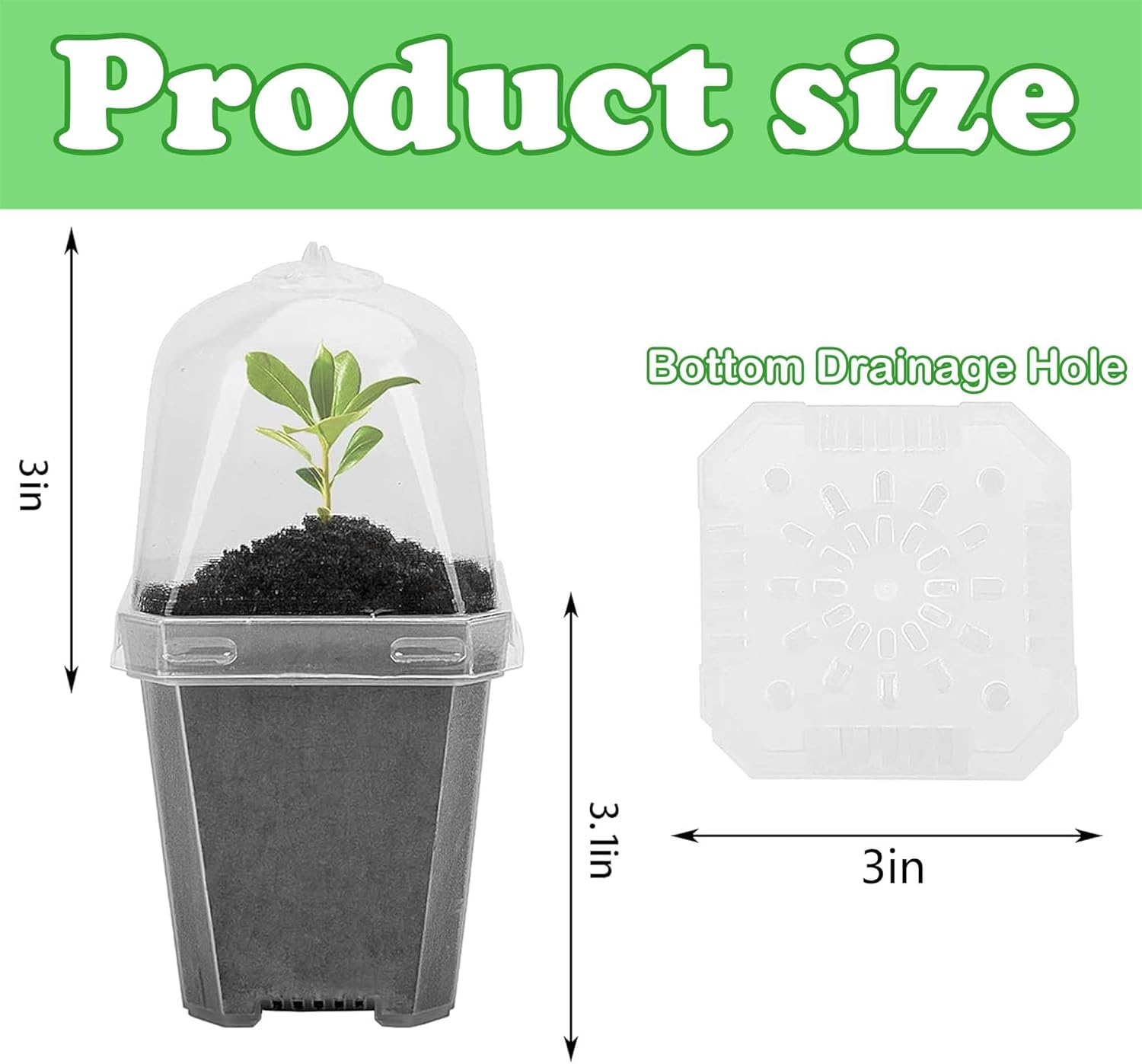 10 PCS Clear Plant Nursery Pot - Plastic Dome Clear 리뷰 및 가격