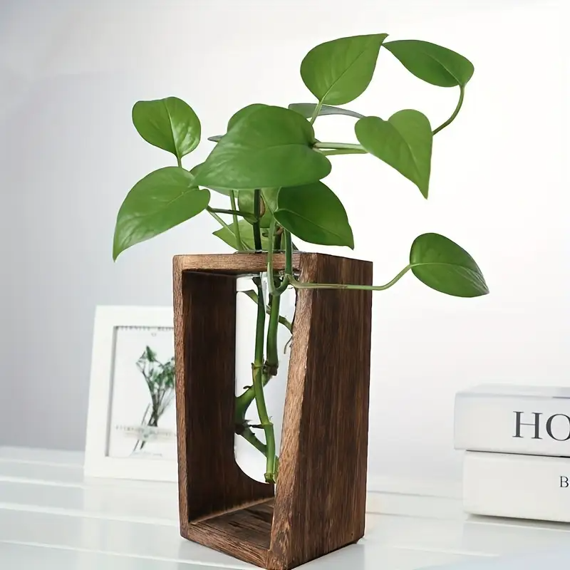 Modern Wood Propagation Vase - - Propagation Station Vase 리뷰 및 가격