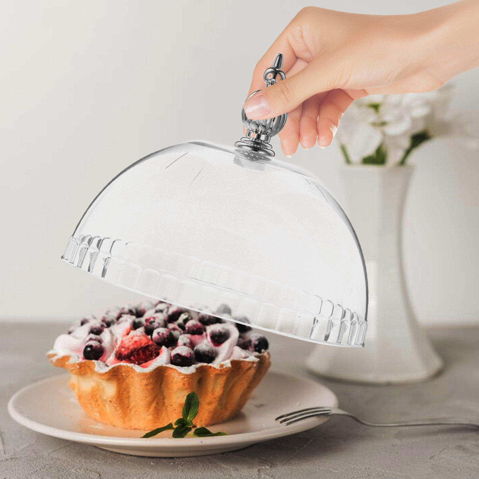 Plastic Clear Cake Dome Cover  - Plastic Dome Clear 리뷰 및 가격