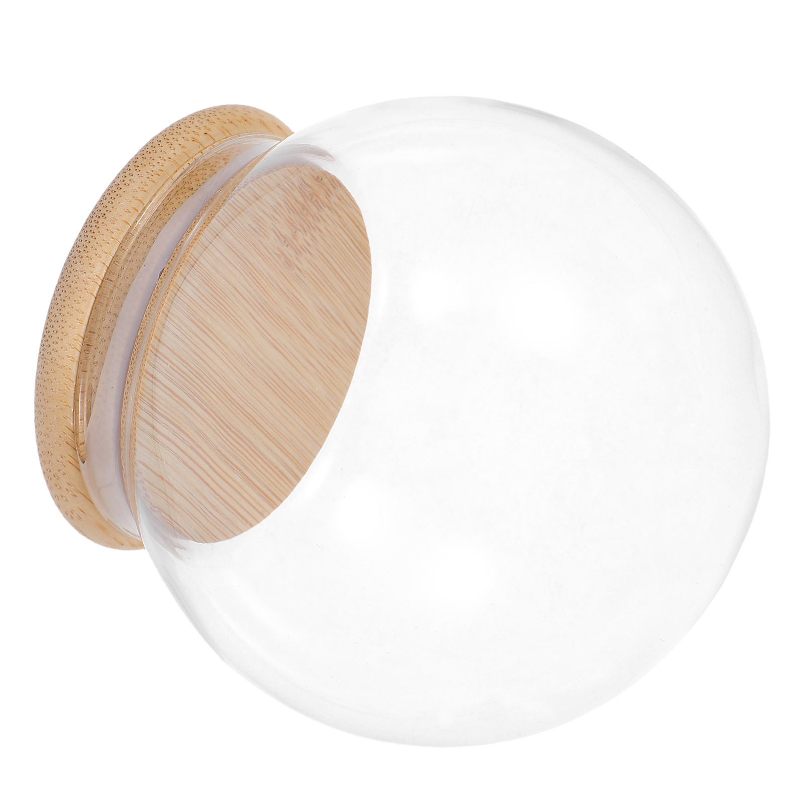 Glass Dome Eternal Flower Disp - Plastic Dome Clear 리뷰 및 가격