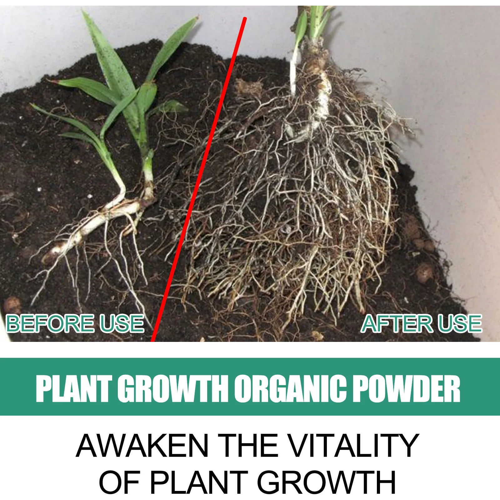 Fast Rooting Powder Plant Soil - Rooting Hormone Powder 리뷰 및 가격