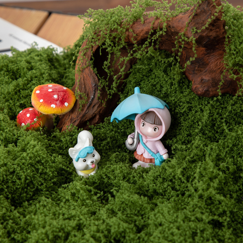 200g Eternal Life Moss DIY Cra - Sphagnum Moss Dry 리뷰 및 가격