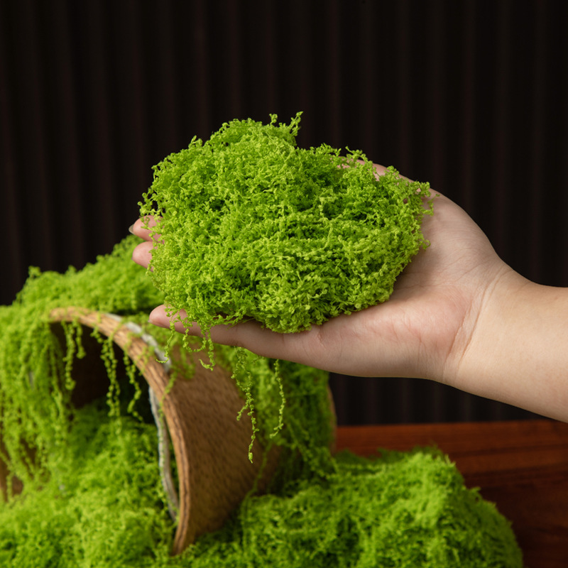 200g Eternal Life Moss DIY Cra - Sphagnum Moss Dry 리뷰 및 가격