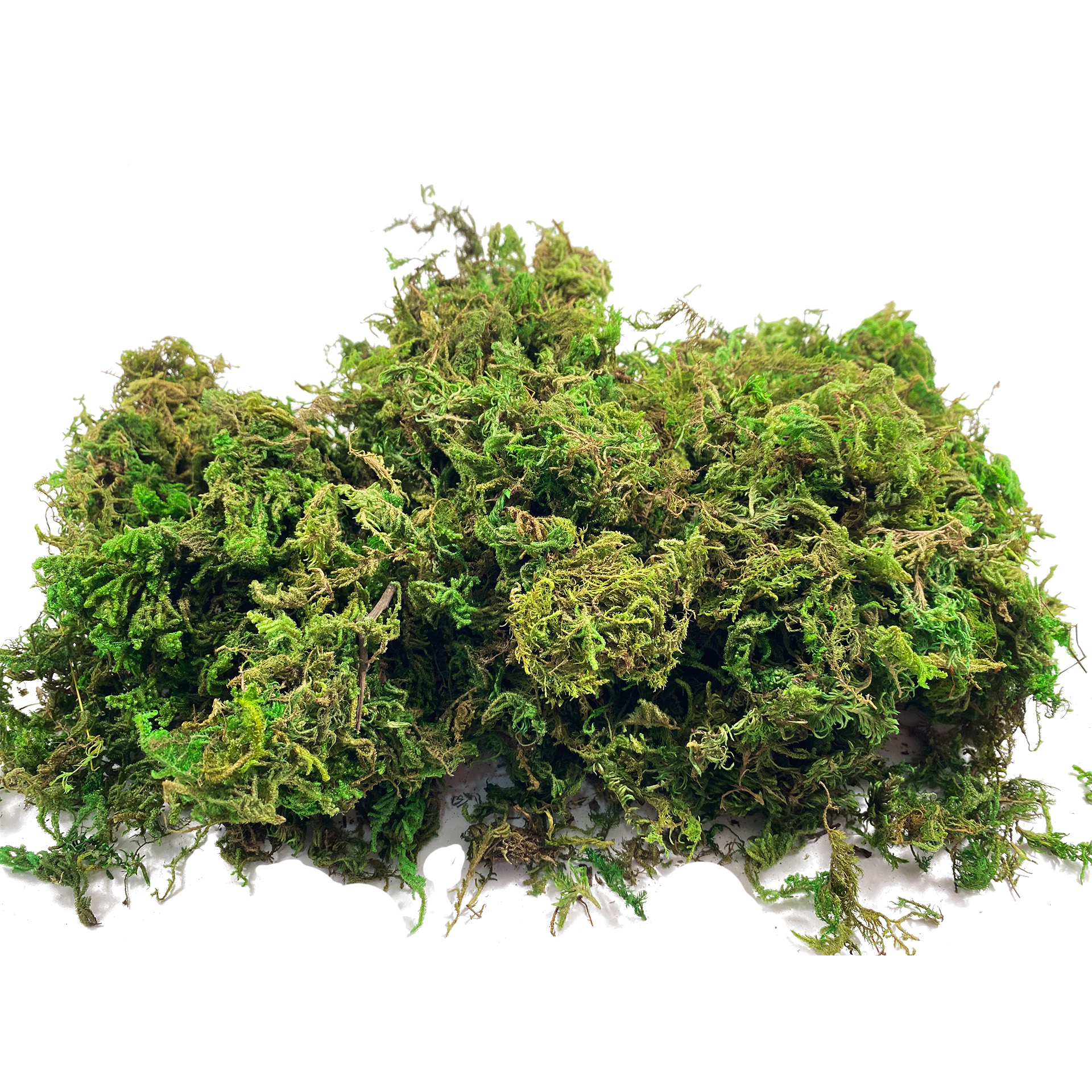 Artificial Fake Moss, Craft Mo - Sphagnum Moss Dry 리뷰 및 가격