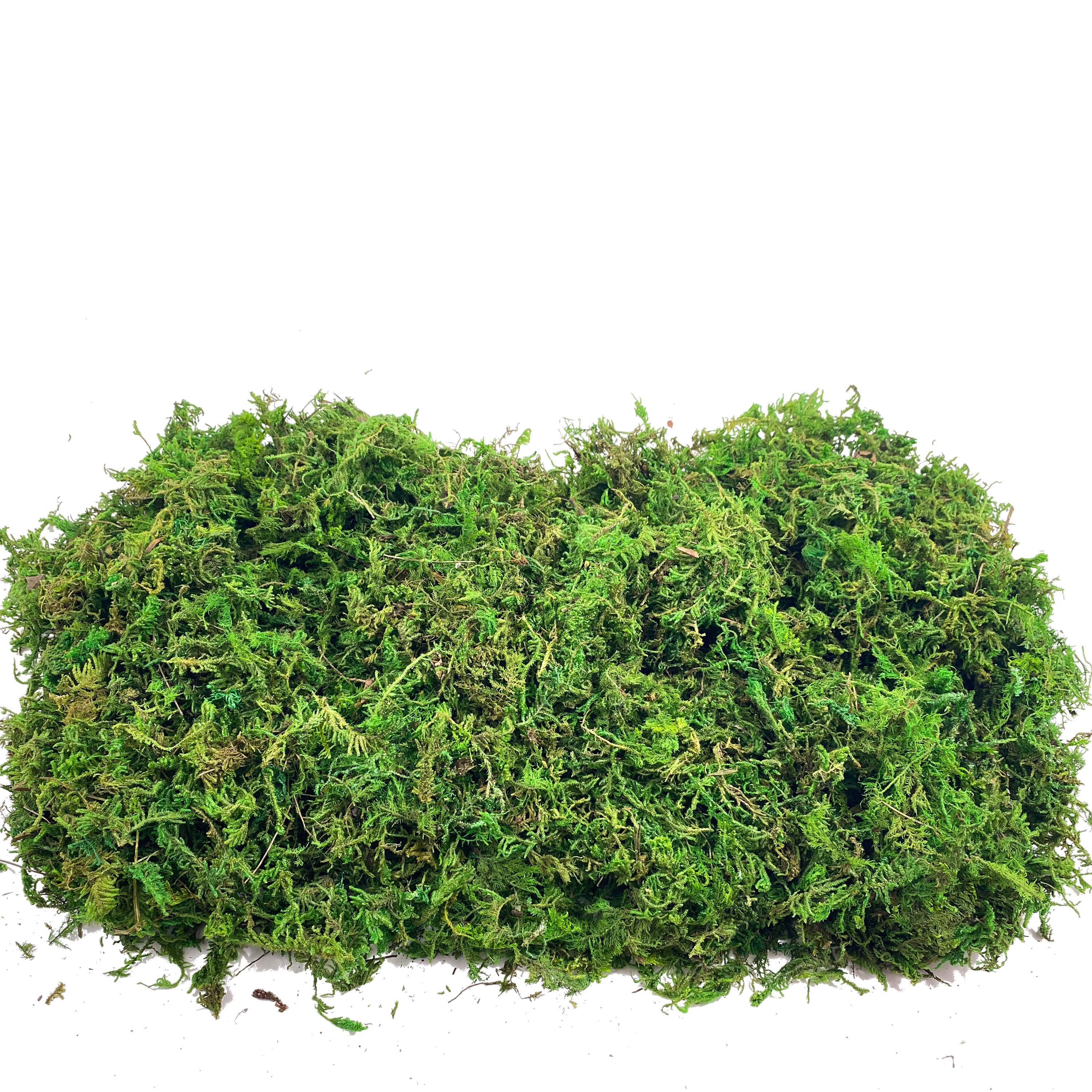 Artificial Fake Moss, Craft Mo - Sphagnum Moss Dry 리뷰 및 가격