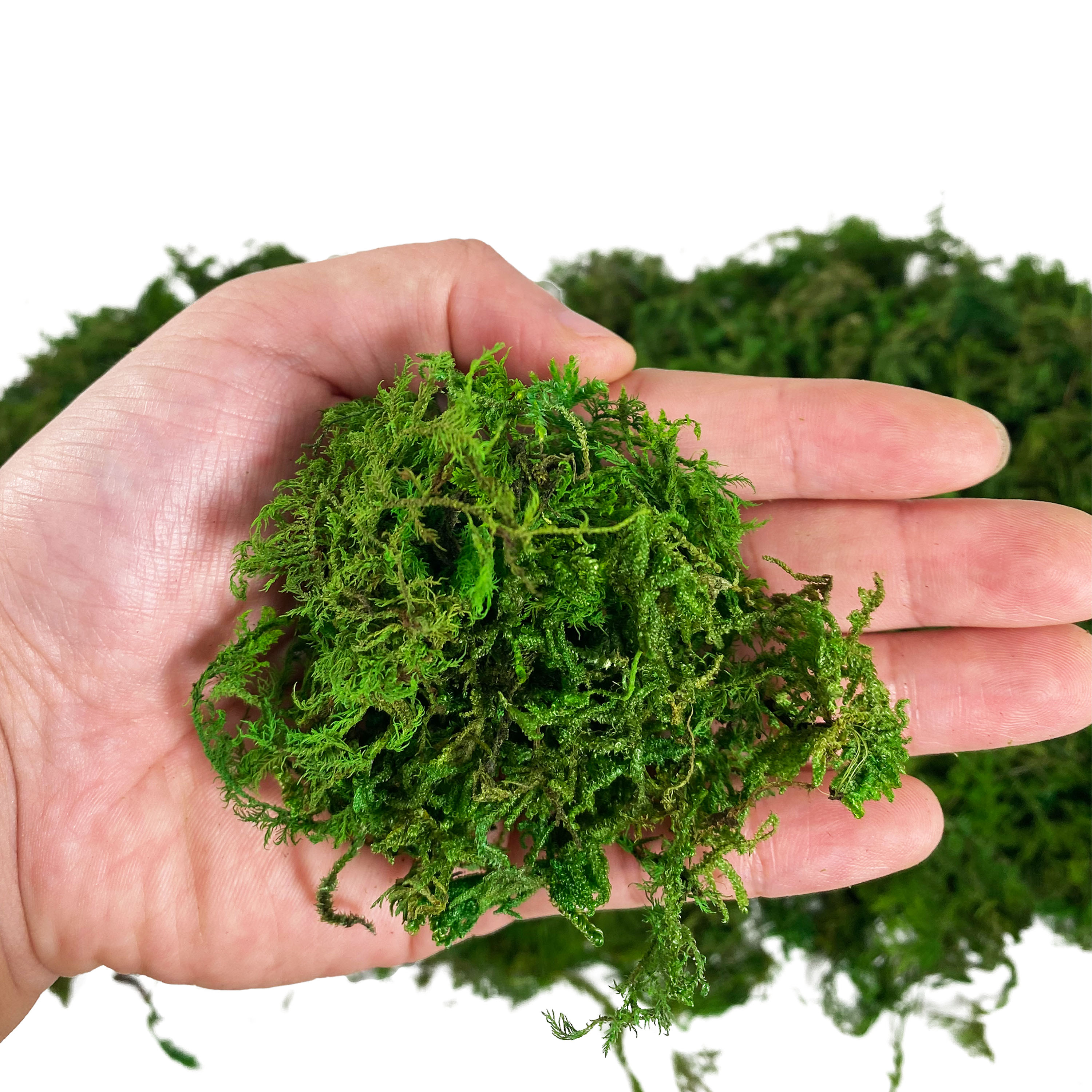 Artificial Fake Moss, Craft Mo - Sphagnum Moss Dry 리뷰 및 가격