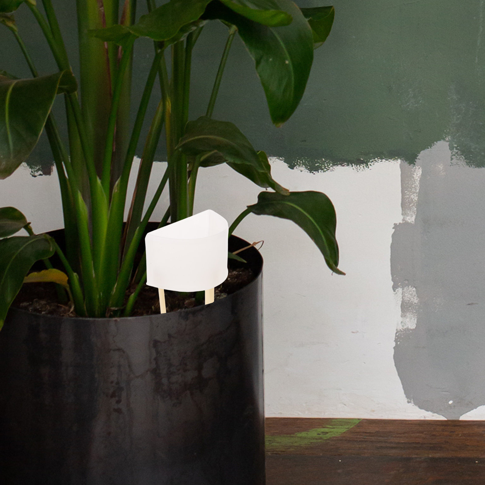 Moss Pole Watering Dripper Adj - Self Watering Insert 리뷰 및 가격