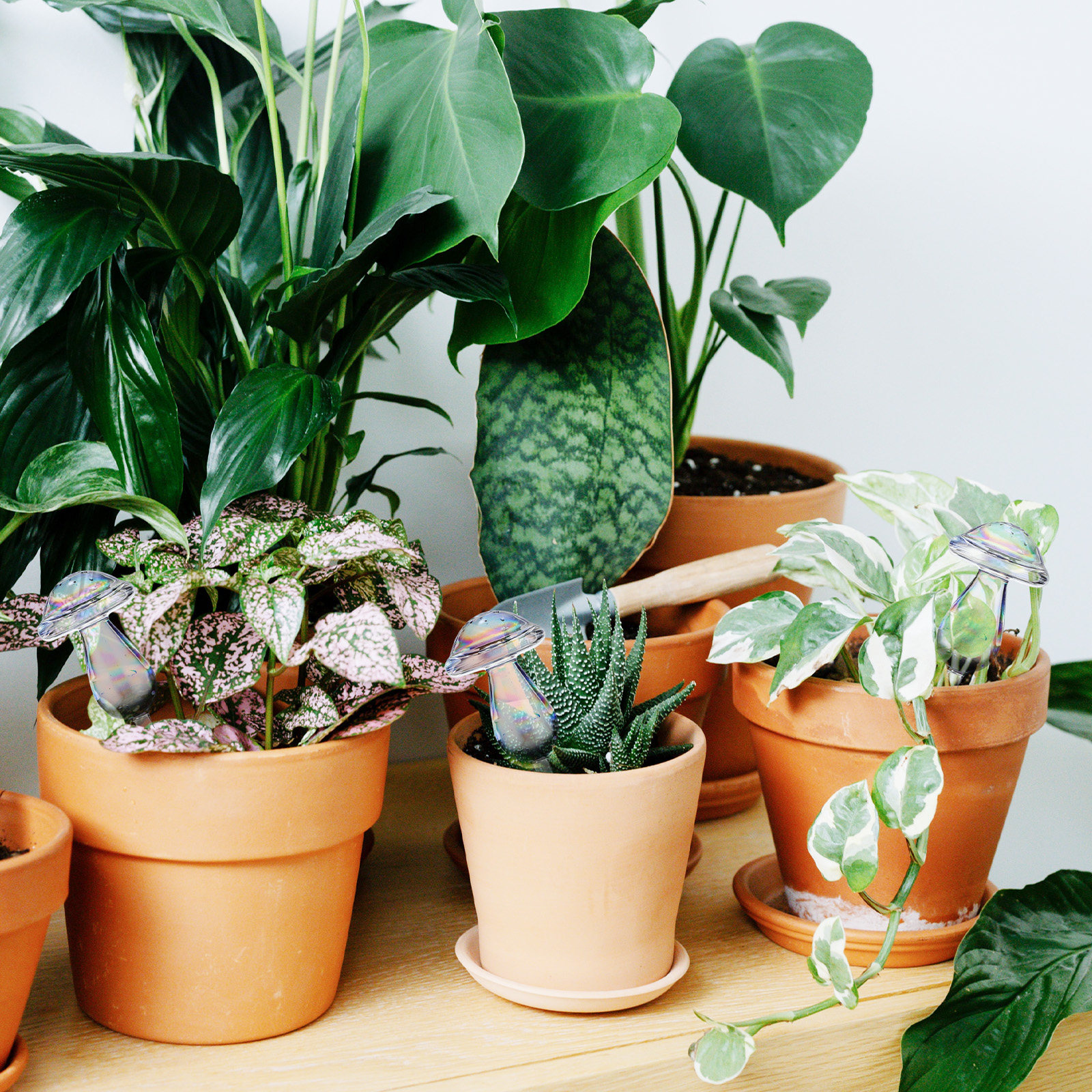4 Pcs Pot Watering Device Plan - Self Watering Insert 리뷰 및 가격