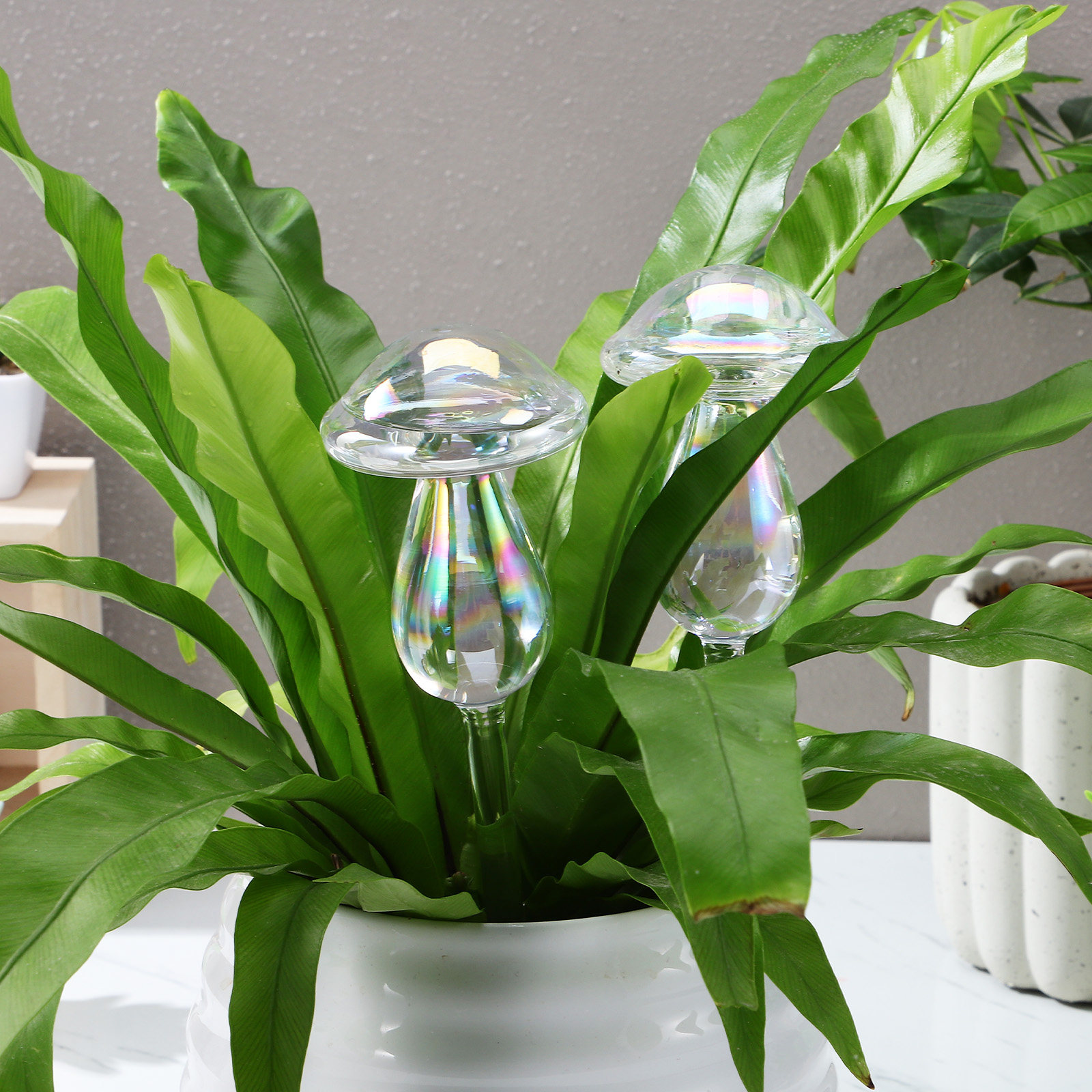 4 Pcs Pot Watering Device Plan - Self Watering Insert 리뷰 및 가격