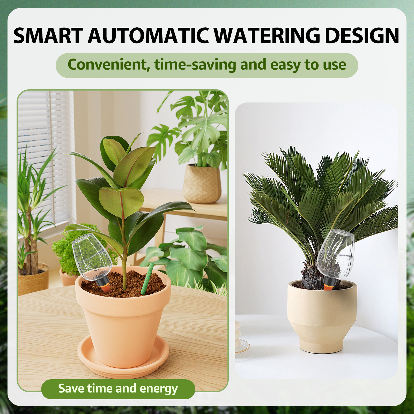 4Pcs Plant Watering Balls 350M - Self Watering Insert 리뷰 및 가격