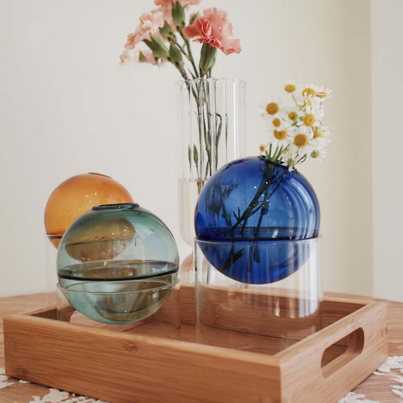 Mini Round Flower Vase Hydropo - Propagation Station Vase 리뷰 및 가격