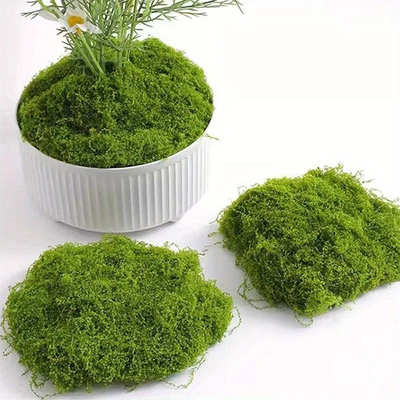 1 \ 5 \ 8 pcs artificial simul - Sphagnum Moss Dry 리뷰 및 가격
