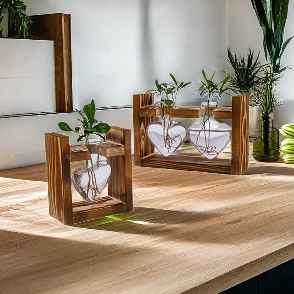 Tabletop Glass Planter Propaga - Propagation Station Vase 리뷰 및 가격