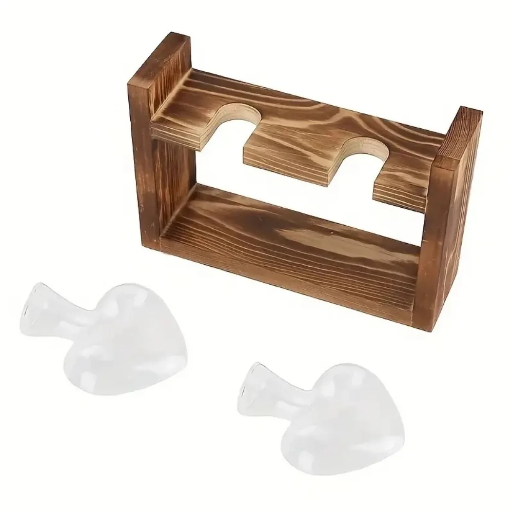 Tabletop Glass Planter Propaga - Propagation Station Vase 리뷰 및 가격