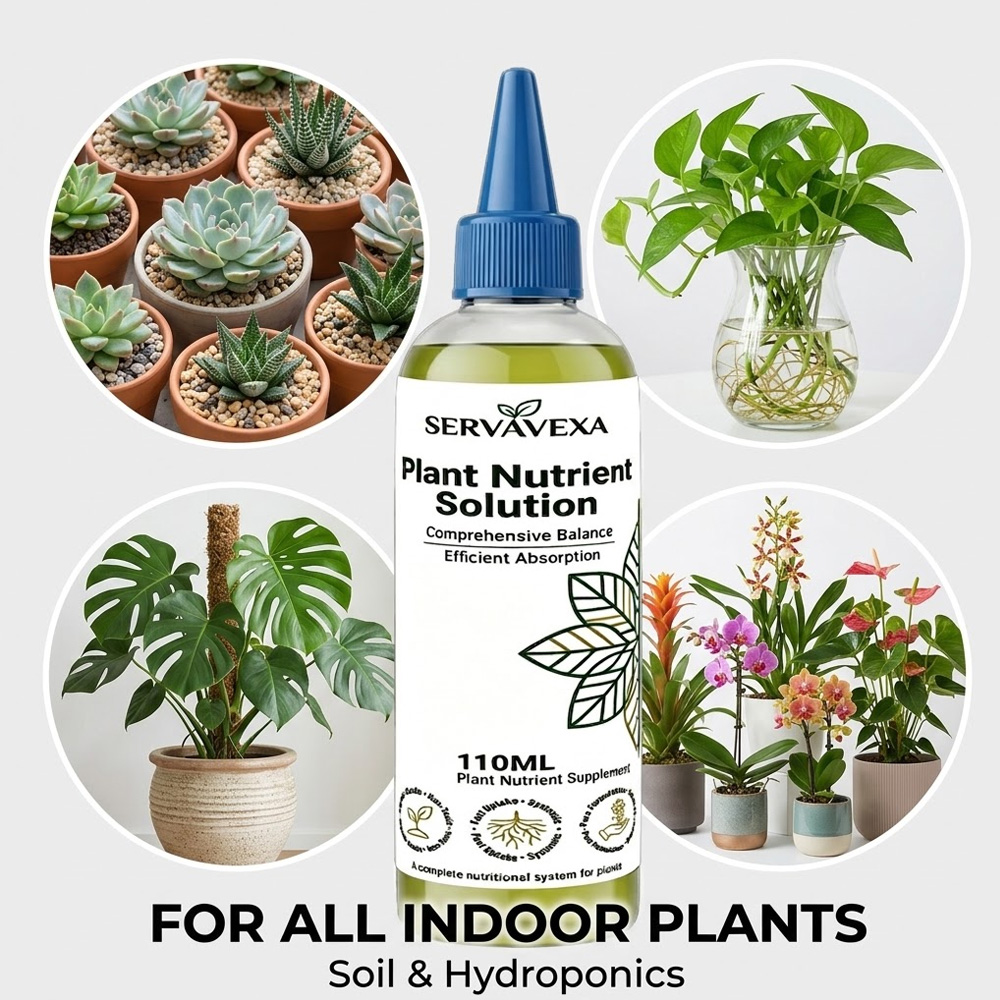 Plant  Nutrient Solution Rapid - Root Stimulator Liquid 리뷰 및 가격