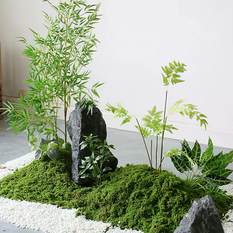 50g Fake Moss DIY Crafts Grass - Sphagnum Moss Dry 리뷰 및 가격
