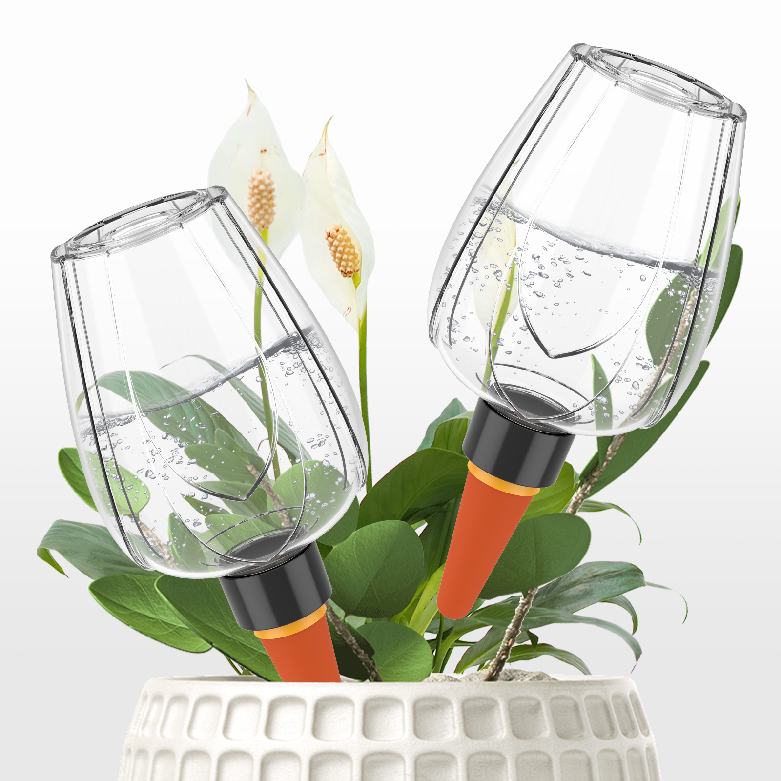 4Pcs Plant Watering Globe Clea - Self Watering Insert 리뷰 및 가격