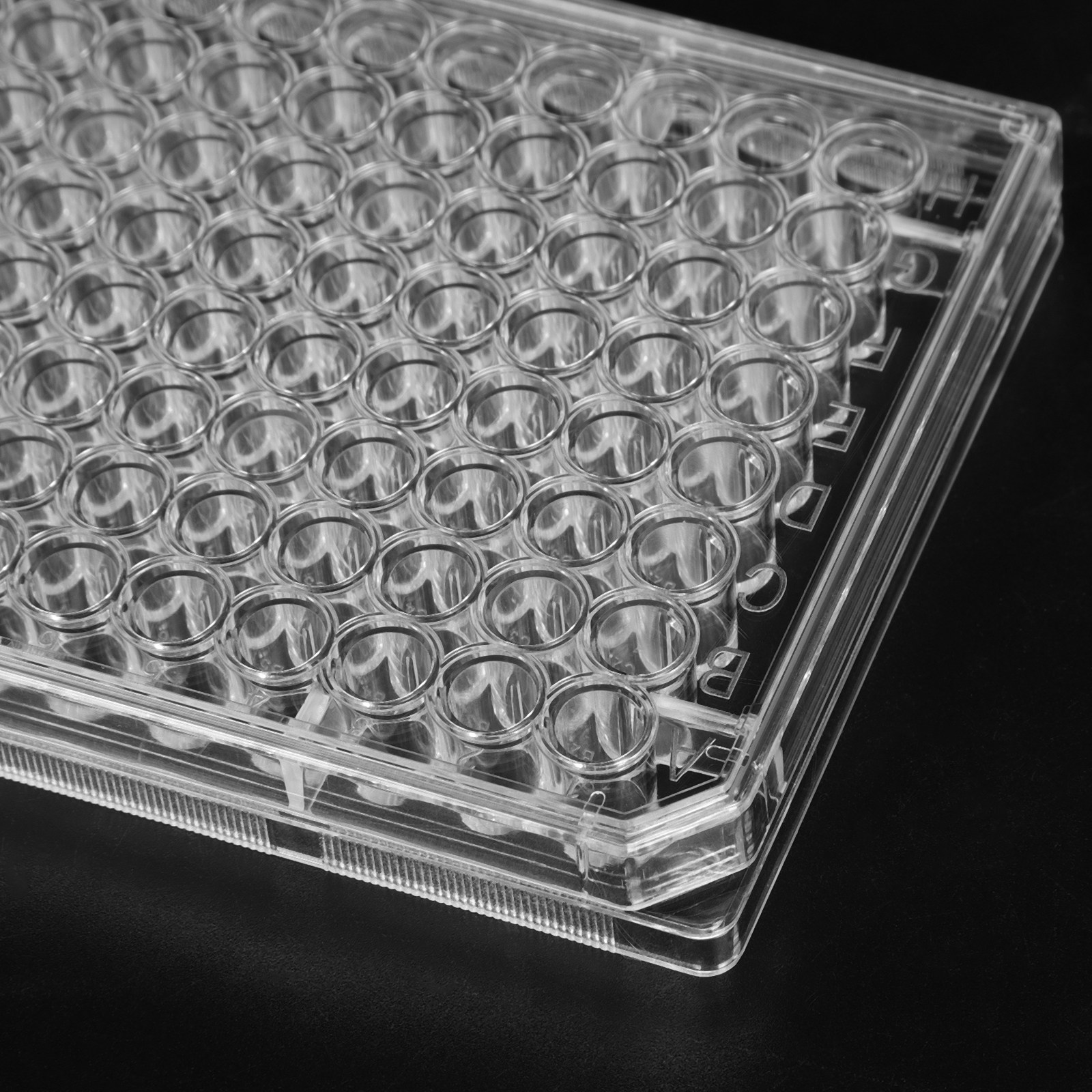 10Pcs Cell Culture Plate Steri - Agar Tissue Culture 리뷰 및 가격