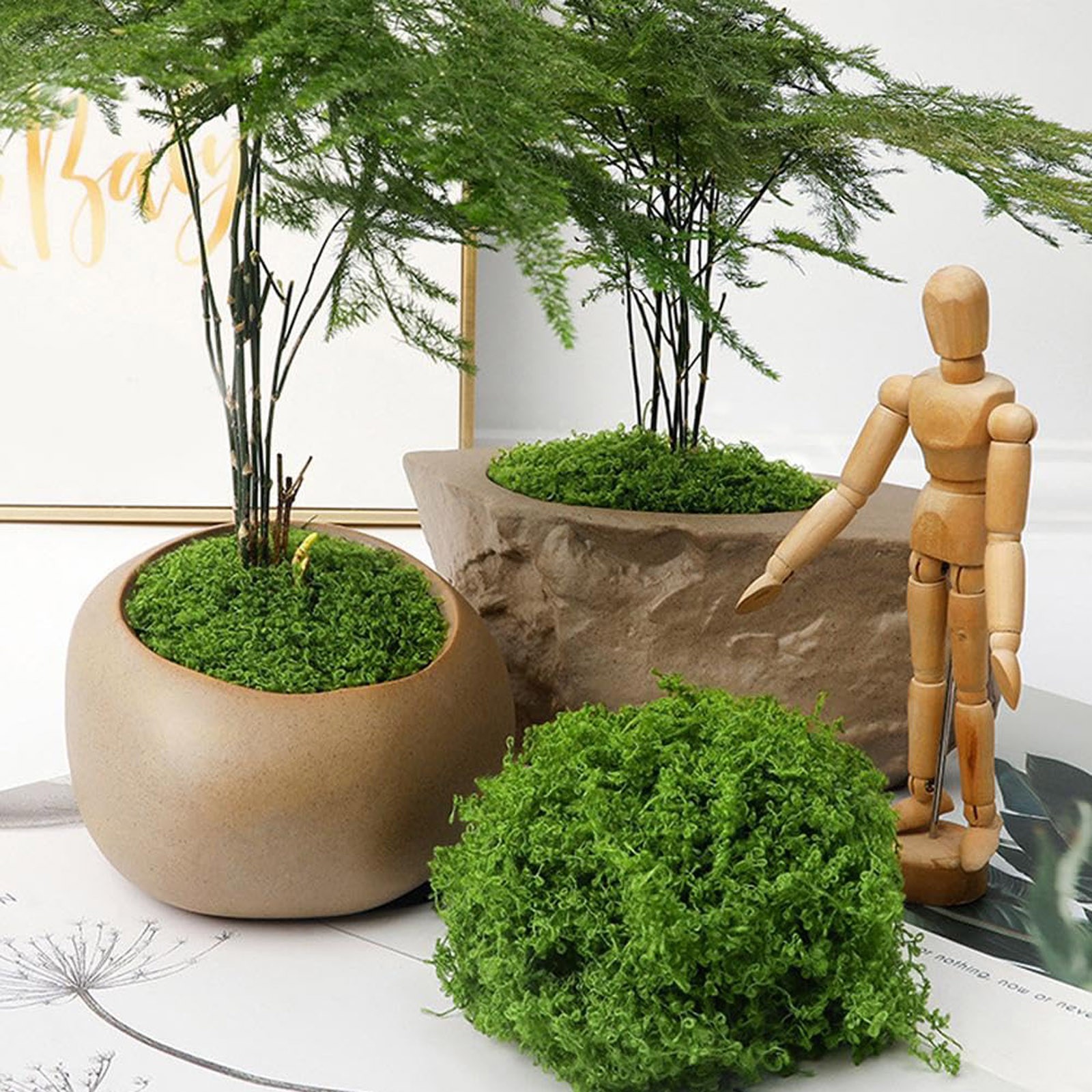50/200g Artificial Moss For De - Sphagnum Moss Dry 리뷰 및 가격