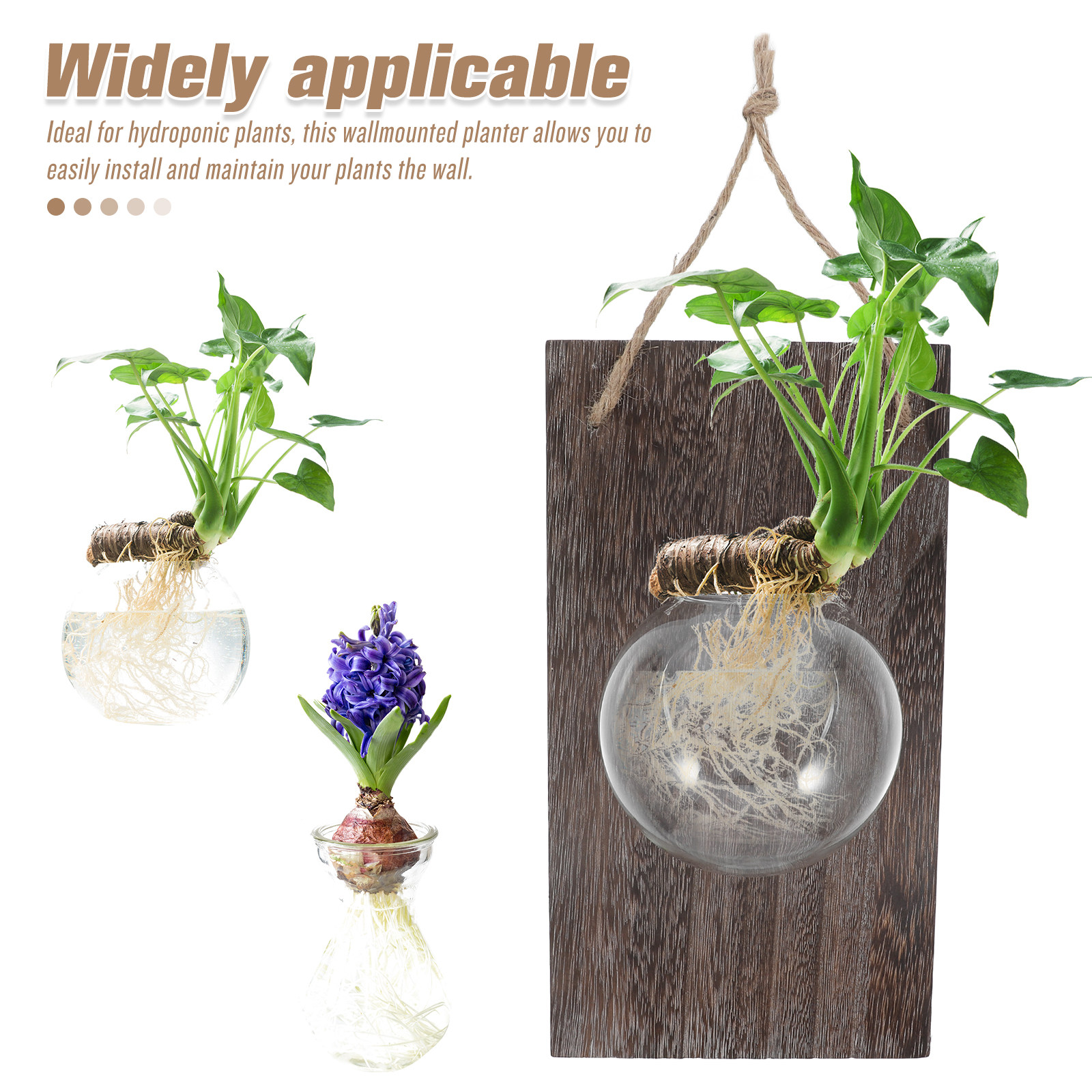 Wall Mounted Glass Planter Han - Propagation Station Vase 리뷰 및 가격