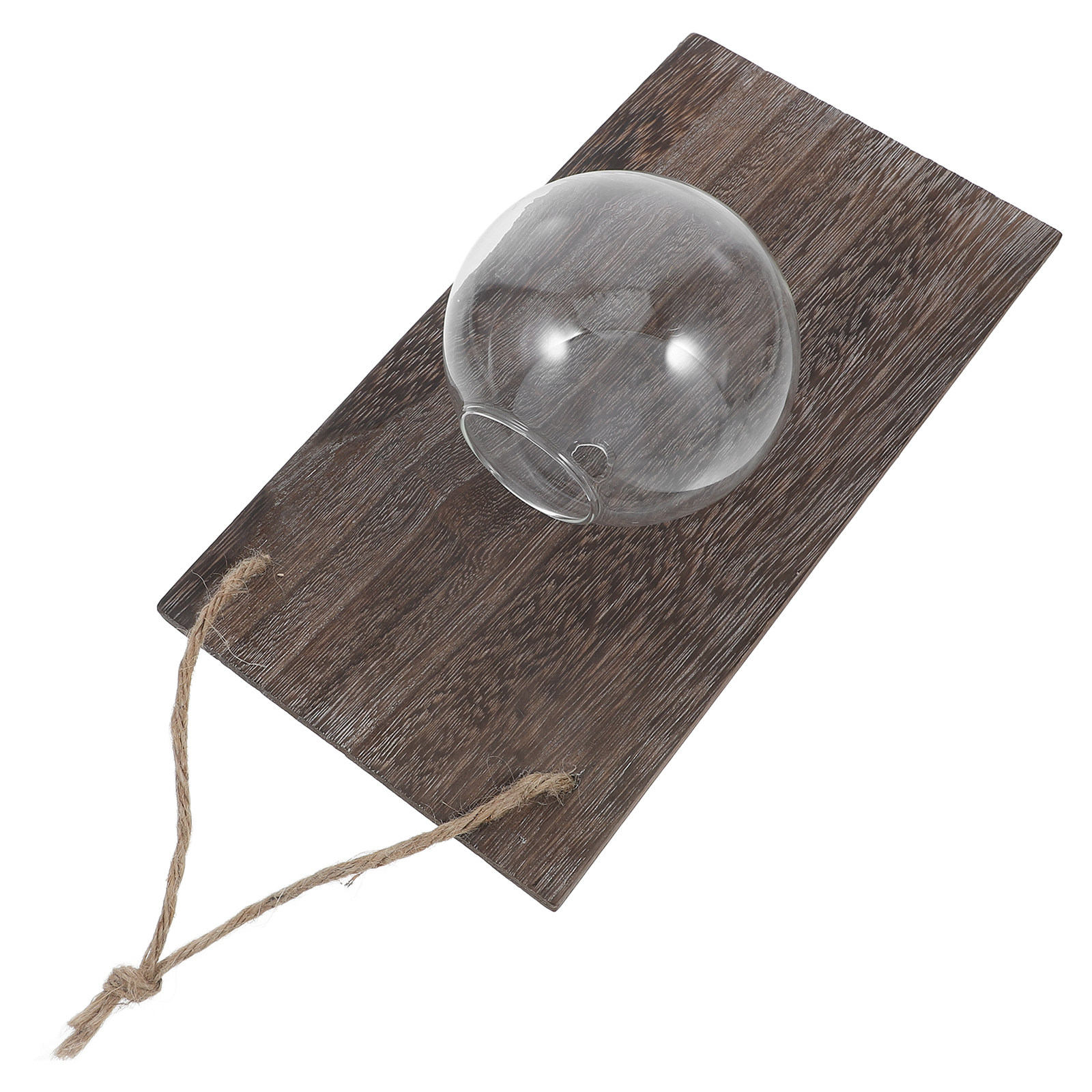 Wall Mounted Glass Planter Han - Propagation Station Vase 리뷰 및 가격