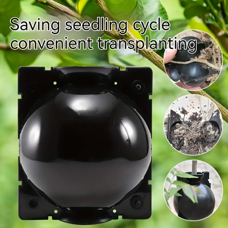 Garden Orchard Plants Grafting - Rooting Gel Clone 리뷰 및 가격
