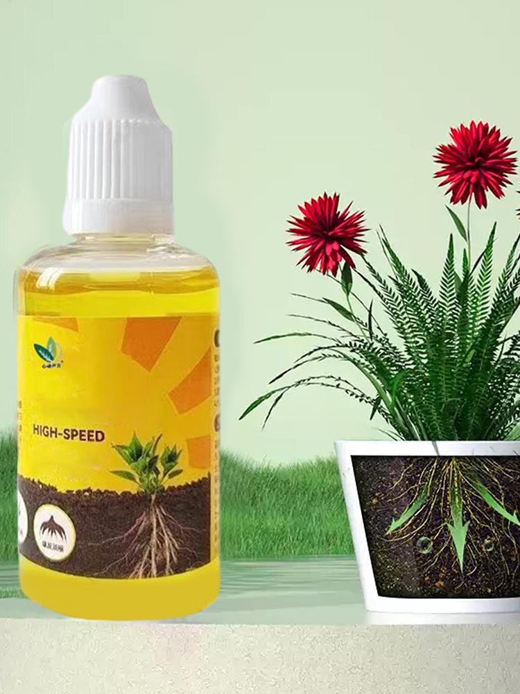 Plant Rooting Stimulator Liqui - Root Stimulator Liquid 리뷰 및 가격
