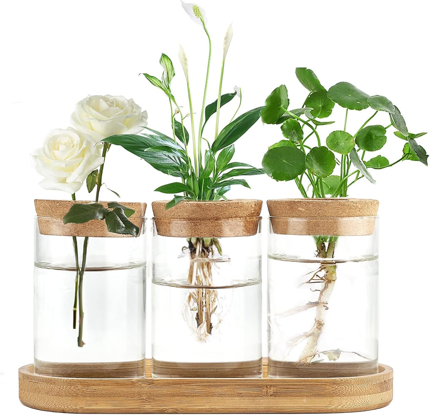 3 Pcs Glass Plant Propagation  - Propagation Station Vase 리뷰 및 가격