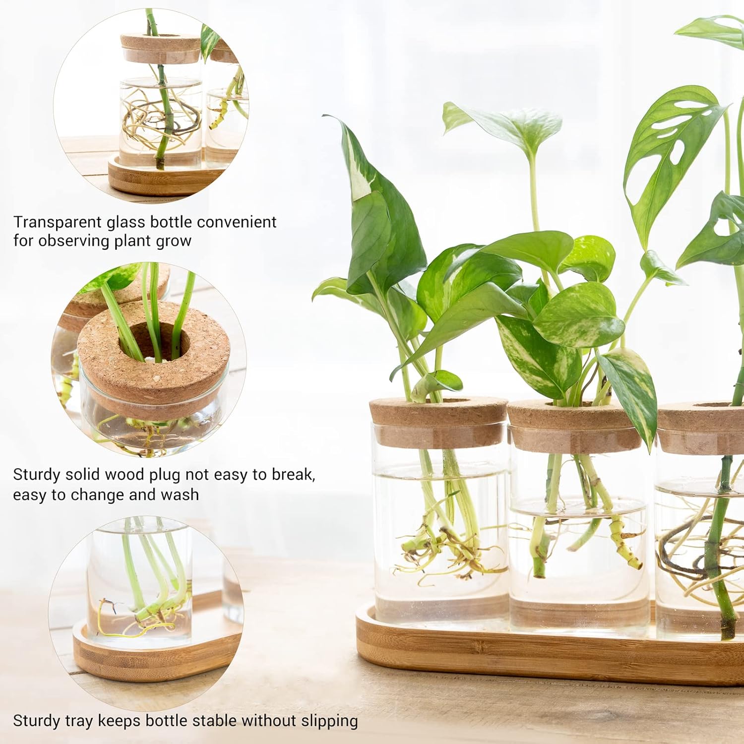 3 Pcs Glass Plant Propagation  - Propagation Station Vase 리뷰 및 가격