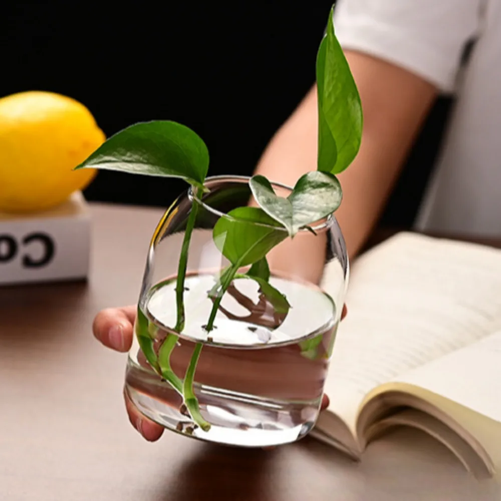 Creative Hydroponic Plant Glas - Propagation Station Vase 리뷰 및 가격