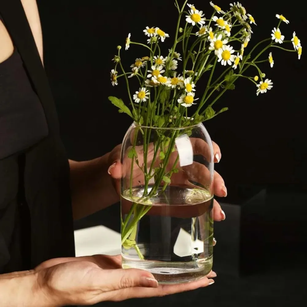 Creative Hydroponic Plant Glas - Propagation Station Vase 리뷰 및 가격