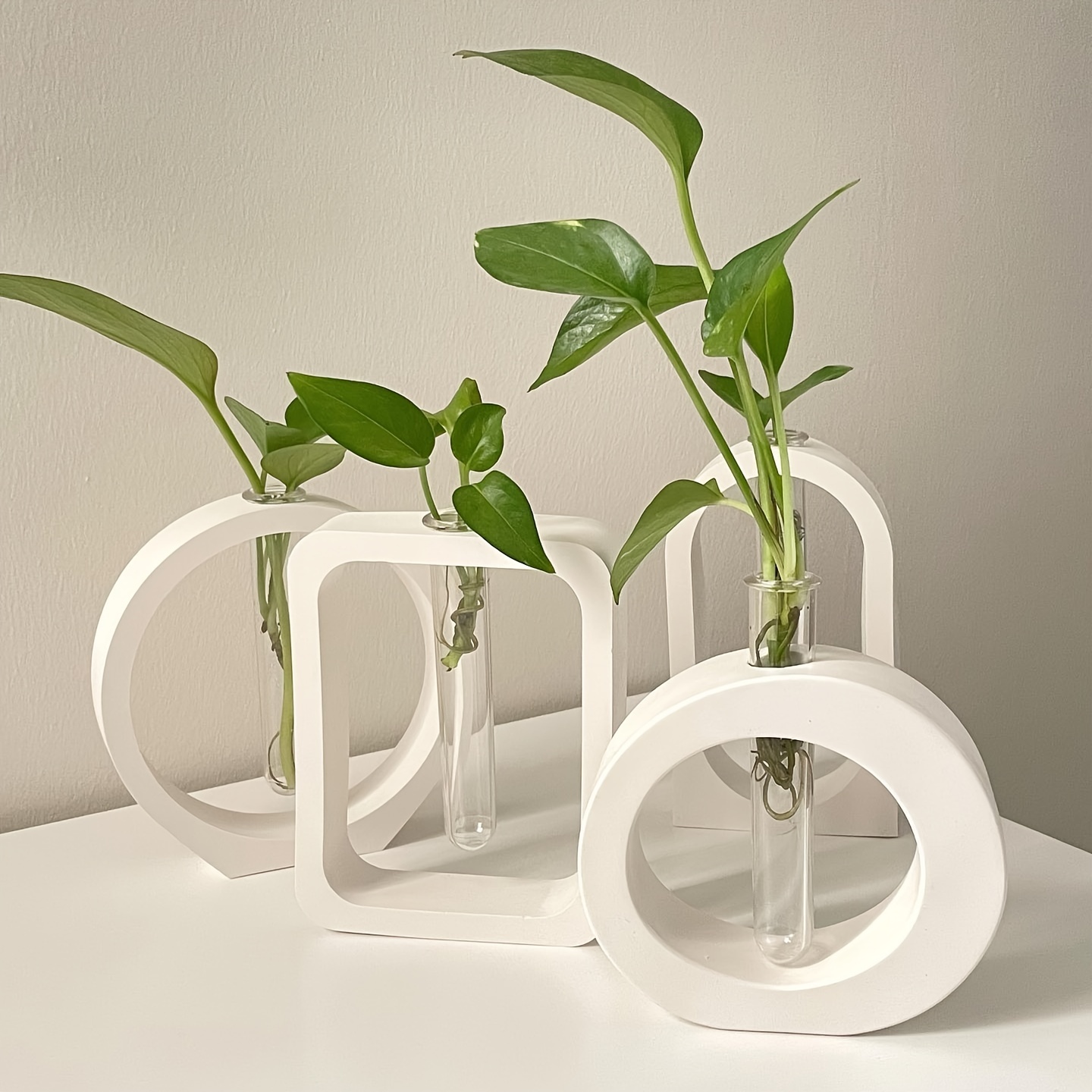 4PCS Flower Vase Silicone Mold - Propagation Station Vase 리뷰 및 가격
