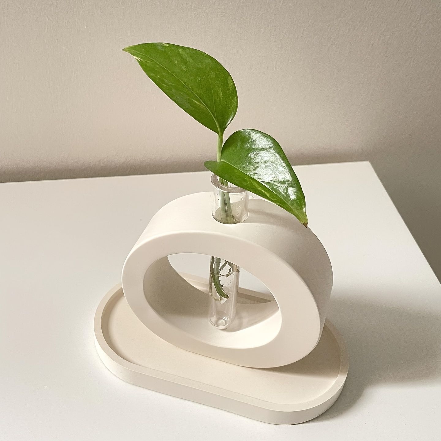 4PCS Flower Vase Silicone Mold - Propagation Station Vase 리뷰 및 가격