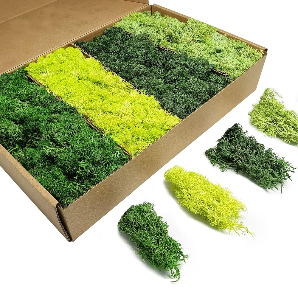 Artificial Green Plants Eterna - Sphagnum Moss Dry 리뷰 및 가격