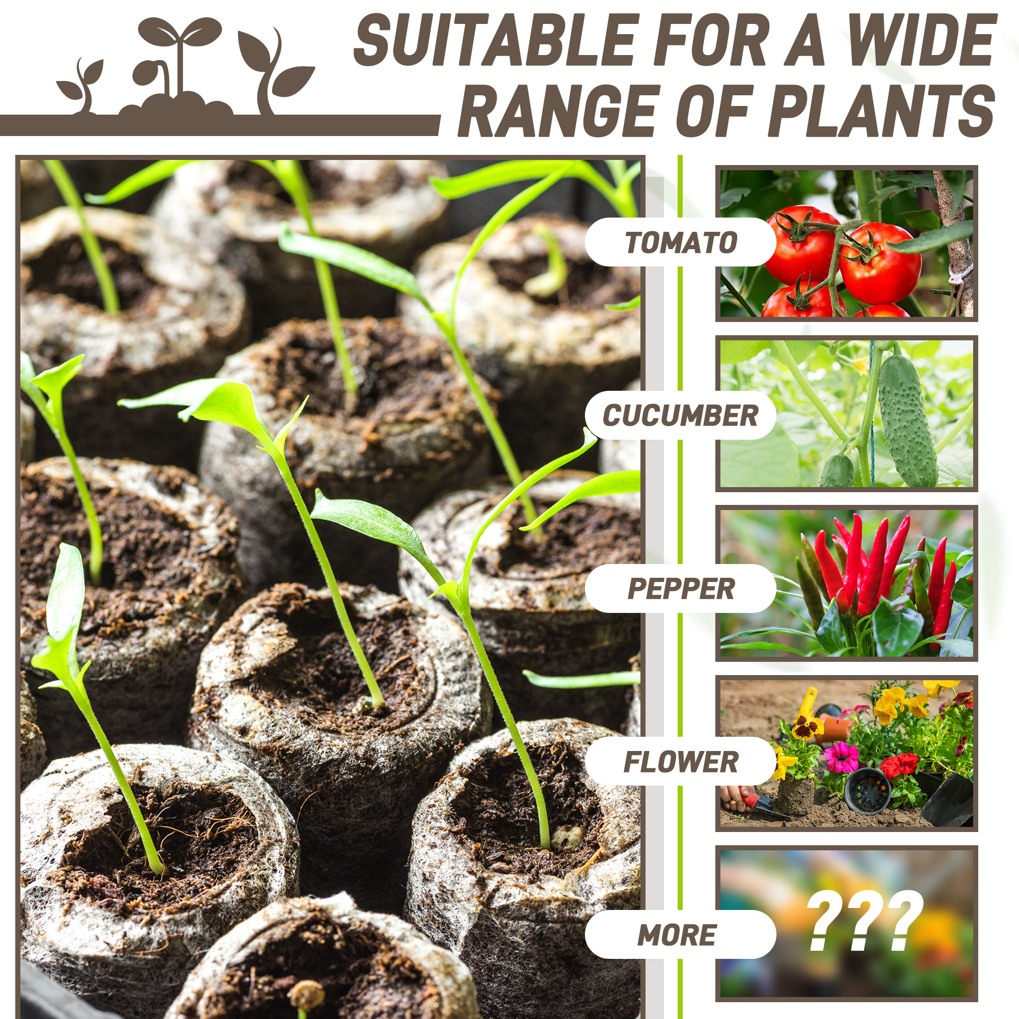 50pcs 35mm Compressed Peat Pel - Peat Pellet Tray 리뷰 및 가격