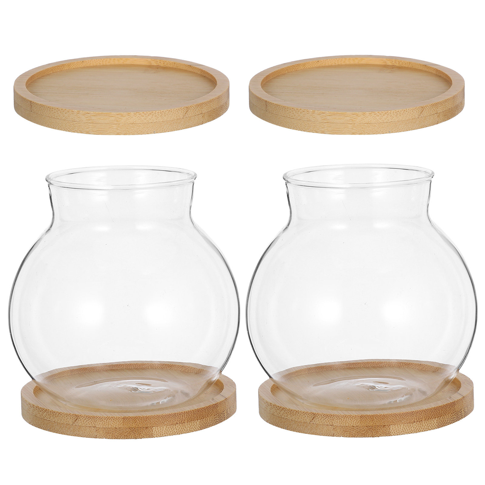 2Set Hydroponic Vase Glass Pro - Propagation Station Vase 리뷰 및 가격