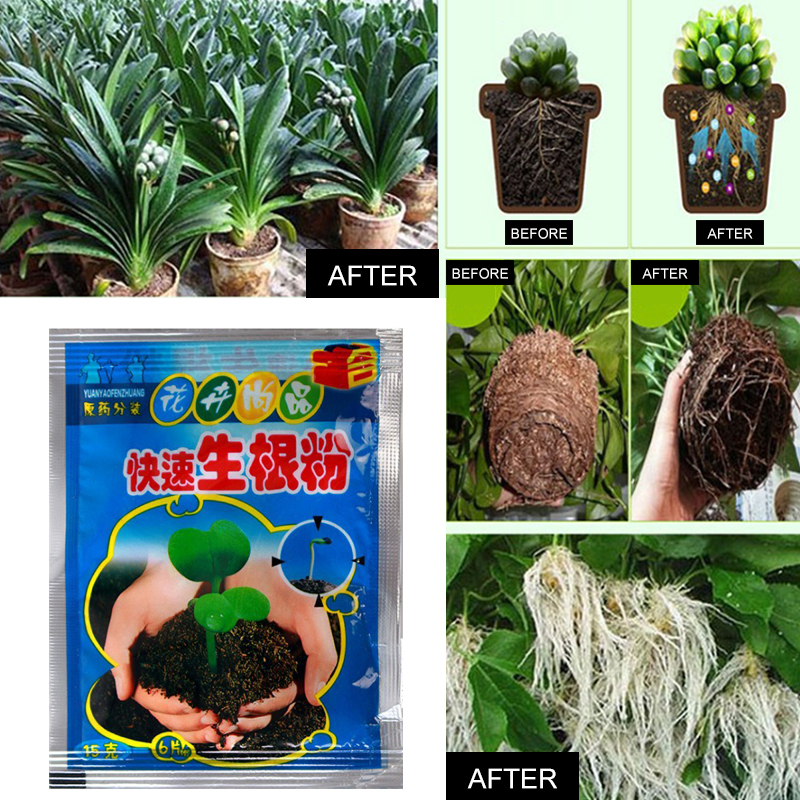 5pcs Fast Rooting Powder Plant - Rooting Hormone Powder 리뷰 및 가격