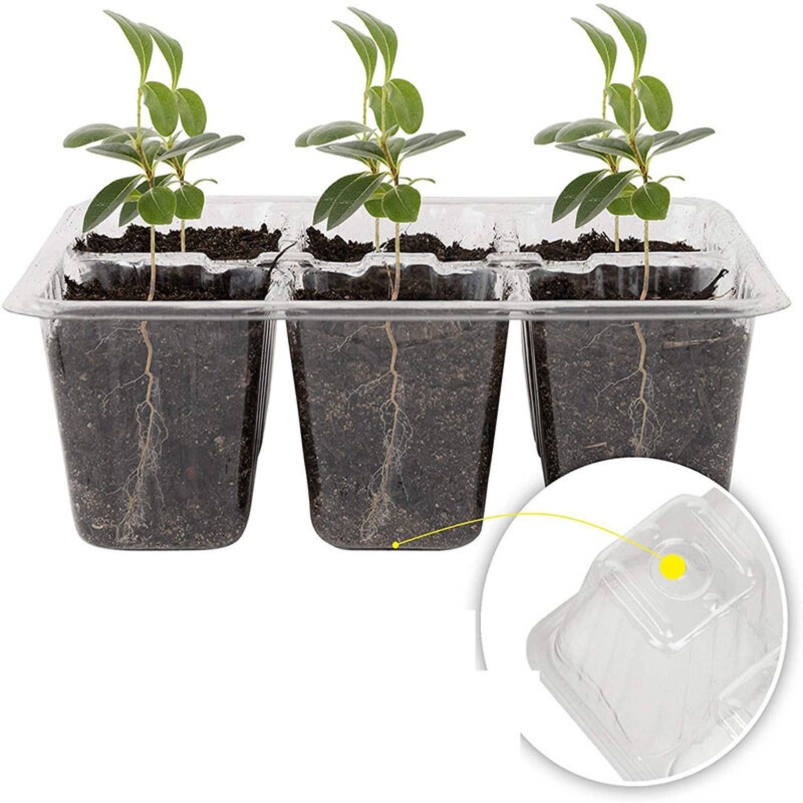12 Compartment Germination Tra - Humidity Dome Kit 리뷰 및 가격