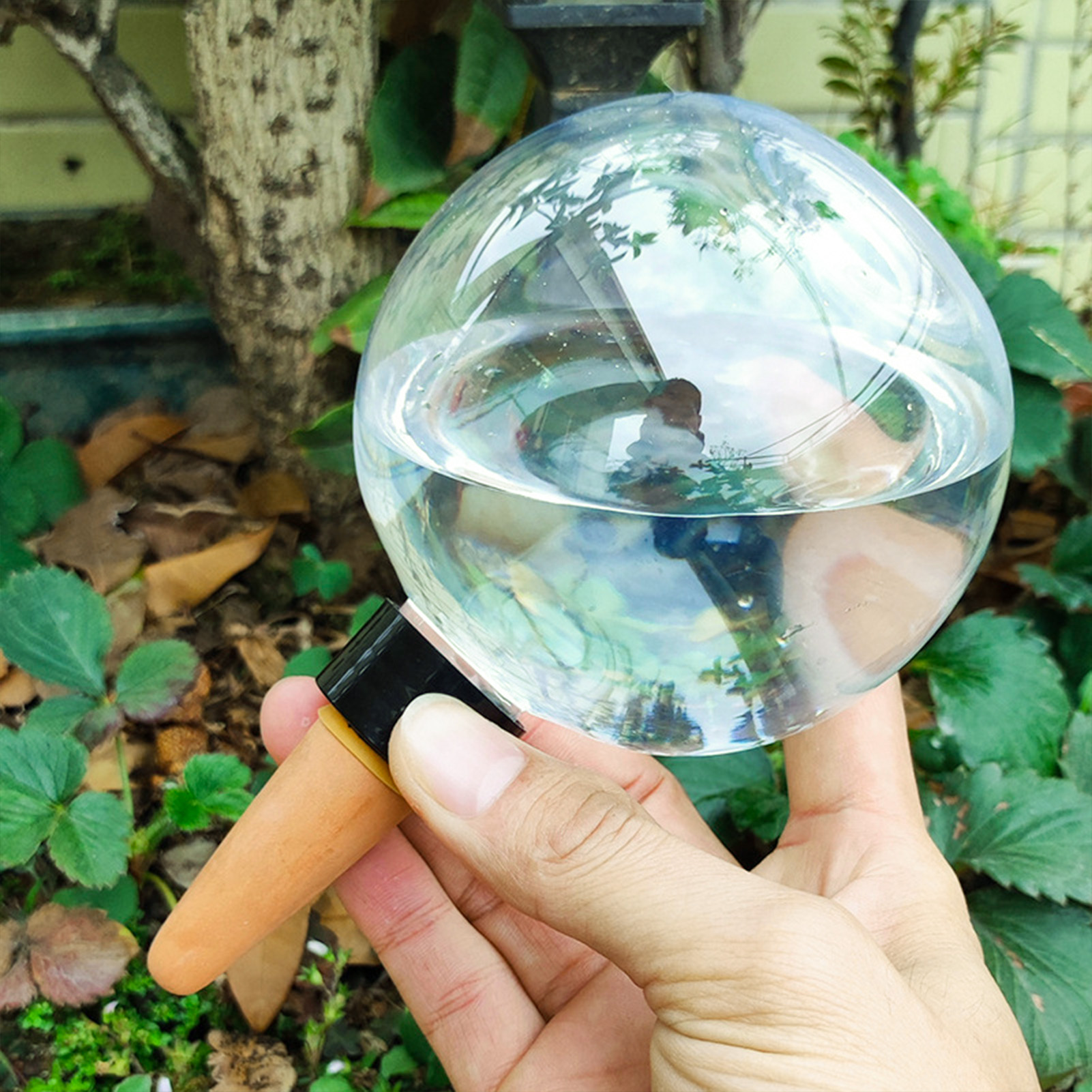 500ML Automatic Plant Watering - Self Watering Insert 리뷰 및 가격