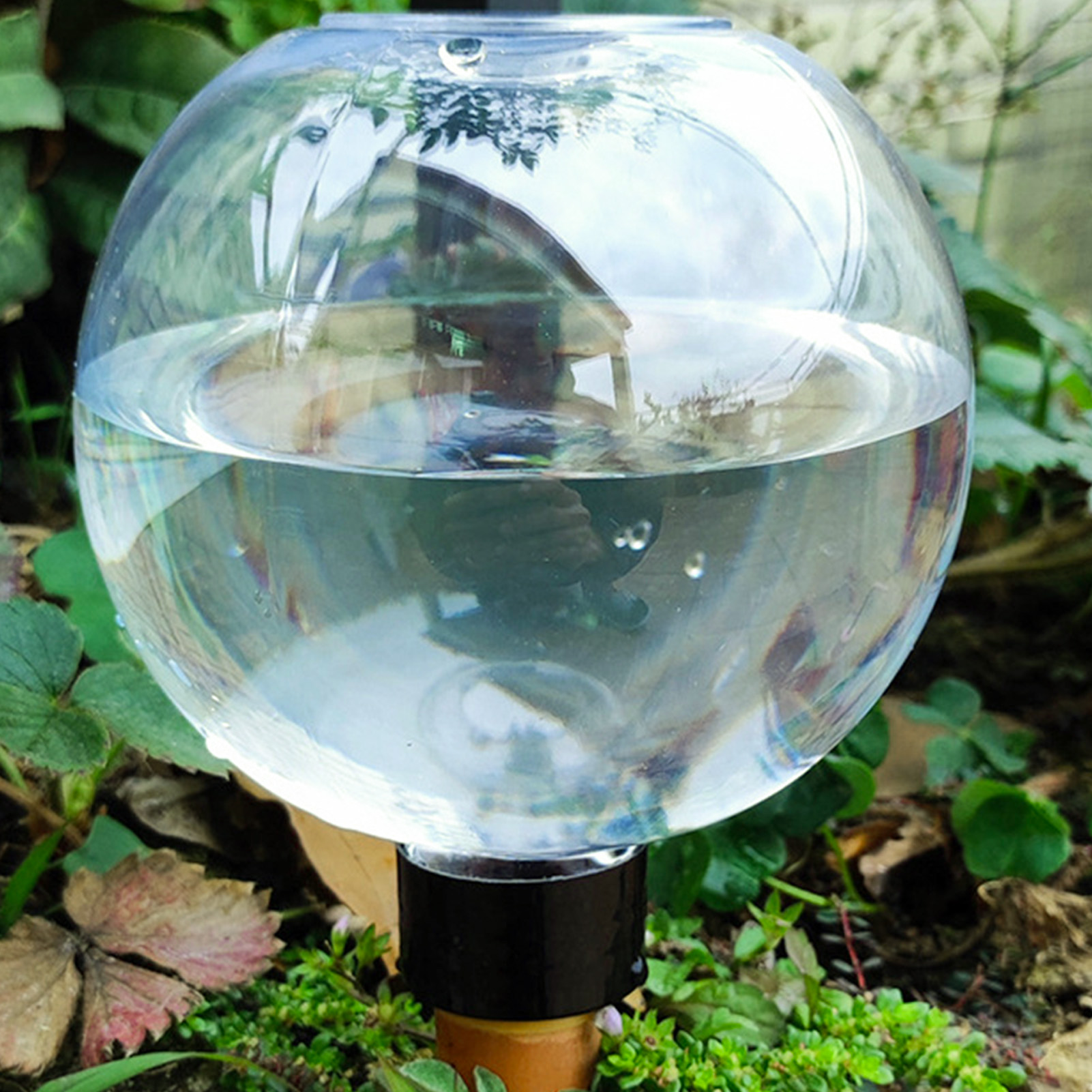 500ML Automatic Plant Watering - Self Watering Insert 리뷰 및 가격