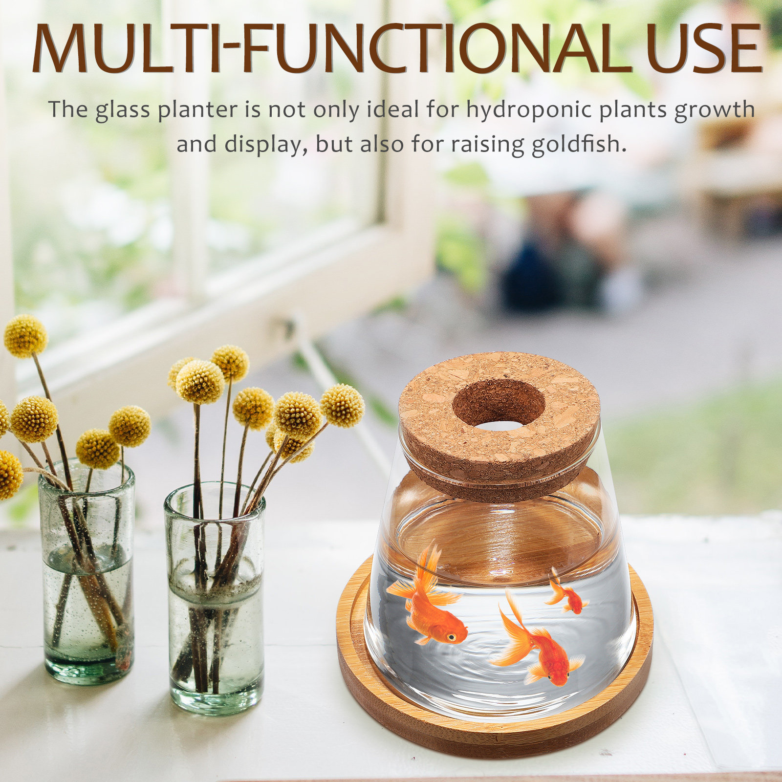 2Pcs Hydroponic Plants Propaga - Propagation Station Vase 리뷰 및 가격