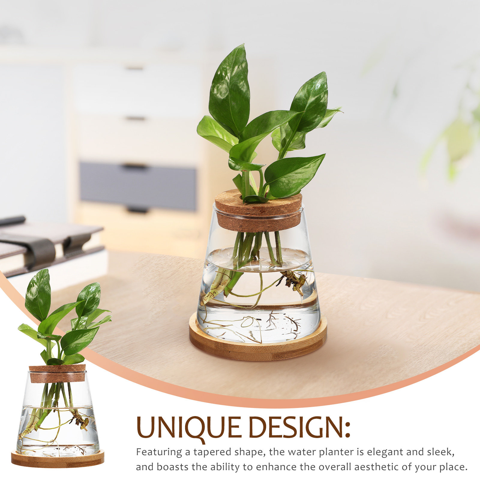 2Pcs Hydroponic Plants Propaga - Propagation Station Vase 리뷰 및 가격